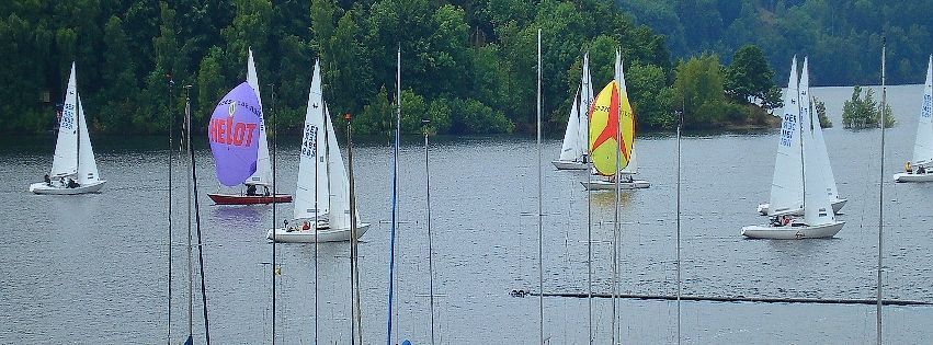 Mehrere Segelboote auf dem Rursee vor einem bewaldeten Ufer